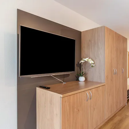 Apartment Haus Am Krummbach Kirchzarten