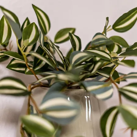 Haus Am Krummbach شقة *